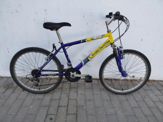 Bicicleta Globe Trotter
