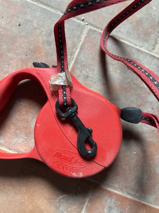 Correa para perro pequeño