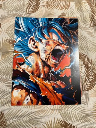 Lámina de Anime Dragon Ball