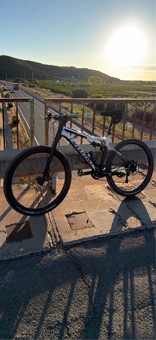 Bicicletta in carbonio Cannondale Lefty