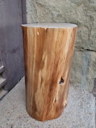 Tronco madera restaurado 33x18 cm