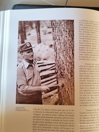 La guardería forestal en España: conservación d...