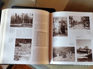 La guardería forestal en España: conservación d...