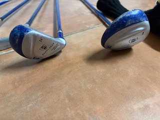 Juego Palos Golf Infantil Perry Gear