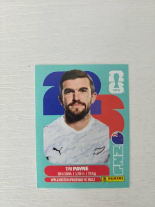 Cromo Panini Tim Payne - Wellington Phoenix