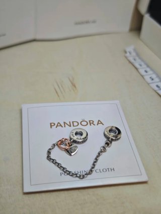 Cadena plata de seguridad Pandora Family