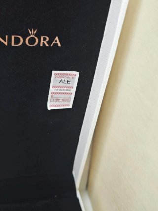 Cadena plata de seguridad Pandora Family