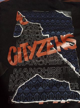 Sudadera con capucha Puma Manchester City