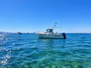 Barco Eurofisher 6 metros