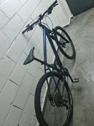 Bicicleta de Montaña Focus Whistler 29