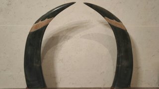 Artesanía oriental auténtica pareja cuernos nuevos