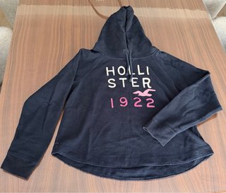Sudadera Hollister