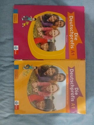 Die Deutschprofis A1+Übungsbuch