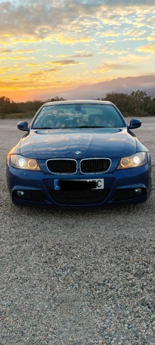 BMW Serie 3 2009
