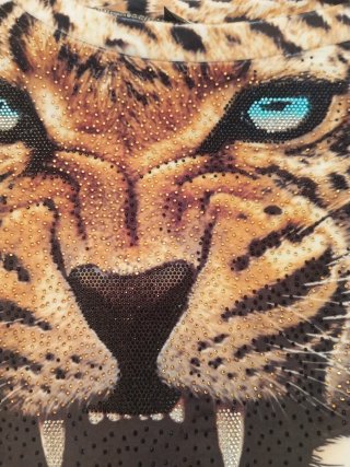 Ocasión Conjunto   TATU(Turkia )Estampado Leopardo