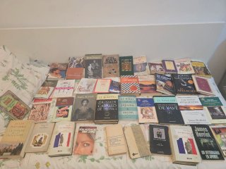 Lote de libros lectura