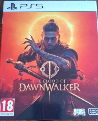 The Blood of Dawnwalker (PS5)