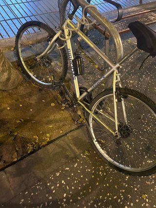 Bicicleta de montaña BIBRODAS