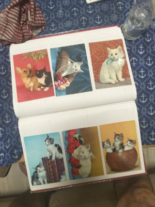 Set di Cartoline Gatti