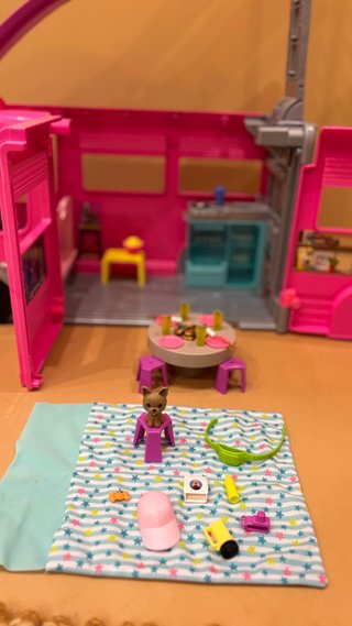Barbie Dream Camper con tobogán
