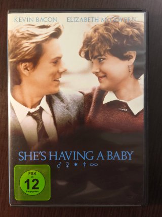 LA LOCA AVENTURA DEL MATRIMONIO ( DVD )