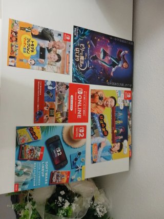 Lote 6 Folletos y Catálogos Nintendo