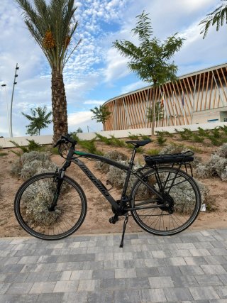 Bicicleta eléctrica
