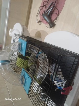 Gabbia per criceto con accessori inclusi