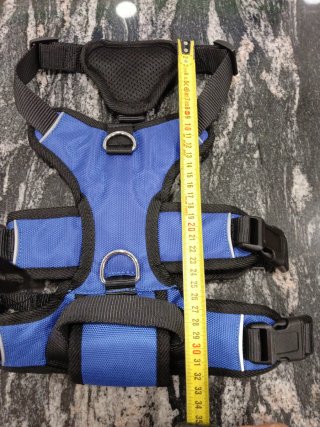Arnés para Perro Azul y Negro