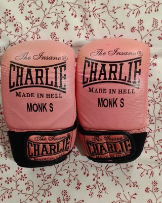 Guantes de Boxeo Charlie The Insane