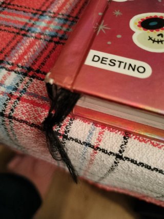 El diario mágico de Anna Kadabra