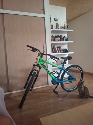 Bicicleta da Montagna VST Verde e Blu Uomo e Donna