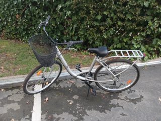 Bicicleta de Paseo Gris