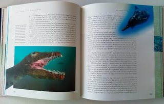 Caminando Entre Dinosaurios. Una Historia Natural.