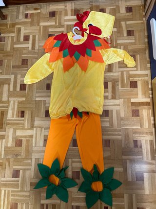 Disfraz Infantil de Gallina