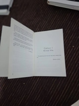Lote de 2 libros en buen estado. Leídos una vez.