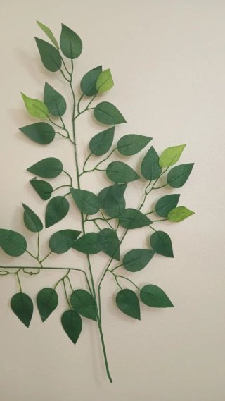 Rama Decorativa Verde Realista