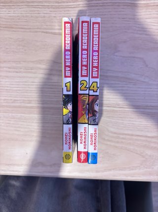 Libro anime (manga seminuevo)