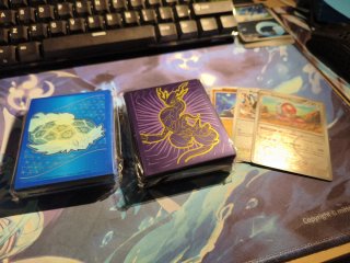Fundas de Pokemon