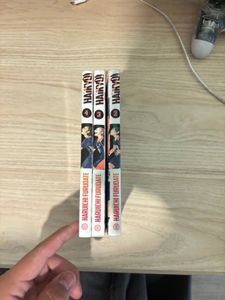 Libro anime (manga) seminuevo