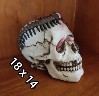 Calavera - Halloween