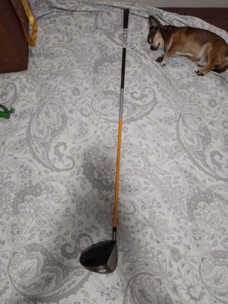 Palo golf Titleist 907D2 9.5