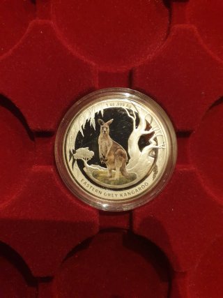 Moneda de Plata Eastern Grey Kangaroo 1 oz