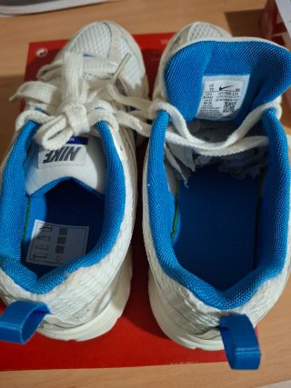 Zapatillas Nike Blancas y Azules