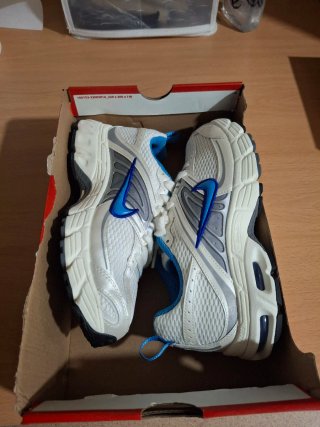 Zapatillas Nike Blancas y Azules
