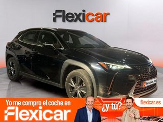 Lexus UX 250h