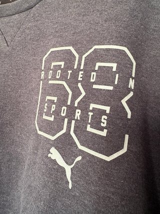 Sudadera Puma Gris
