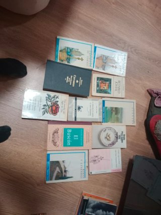 Literatura española hasta el siglo XIX incluido.