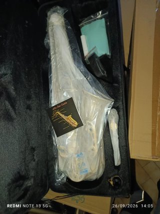 Sassofono in custodia