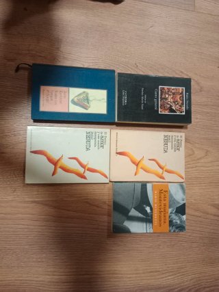 Lote literatura latinoamericana